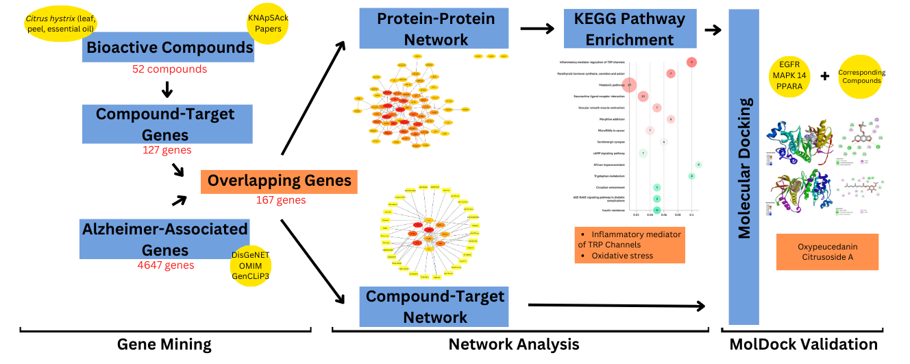 Anti-Alzheimer Potential of Citrus hystrix DC. Peel, Leaf, and Essential Oil Bioactive Compounds by Network Pharmacology Study