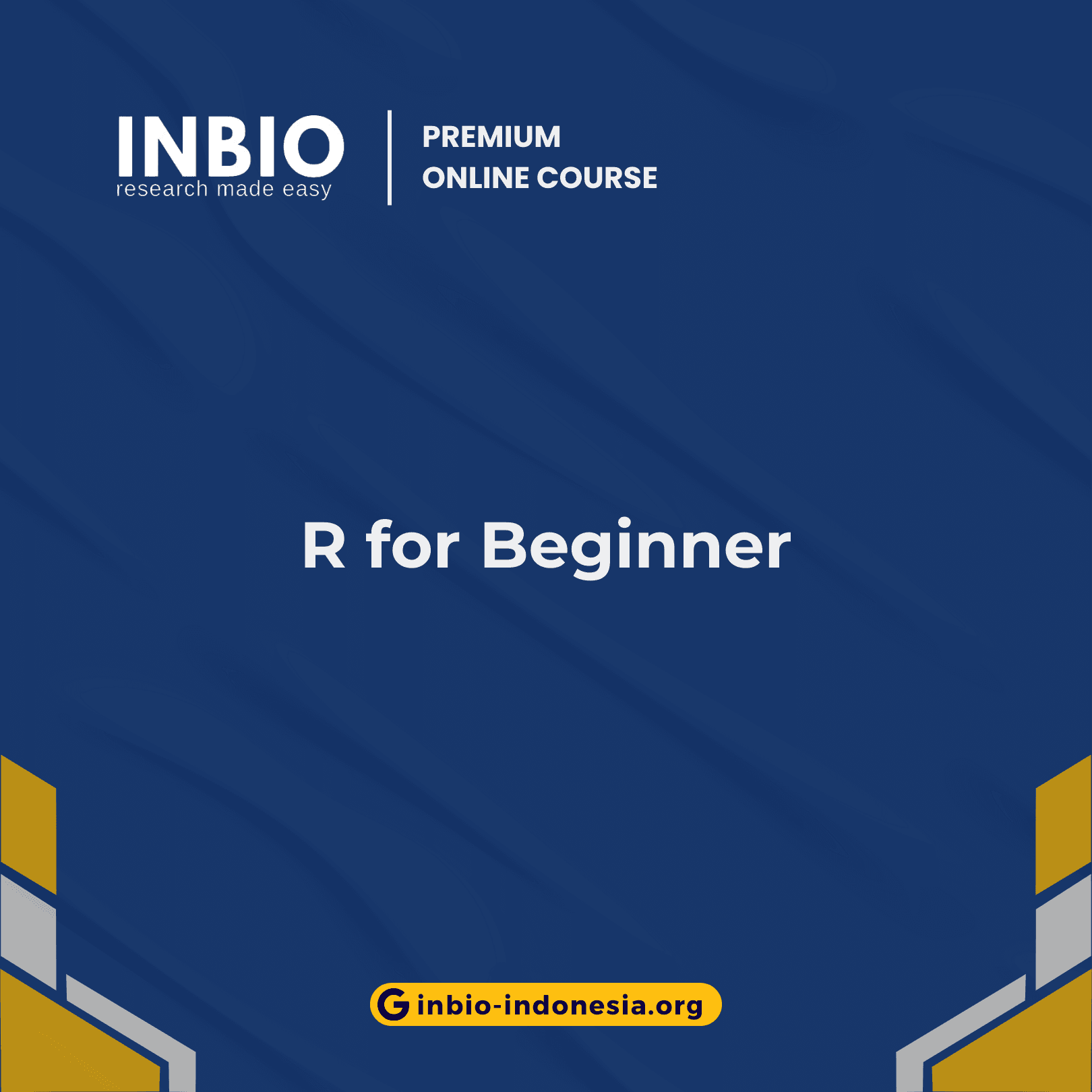 R for Beginner