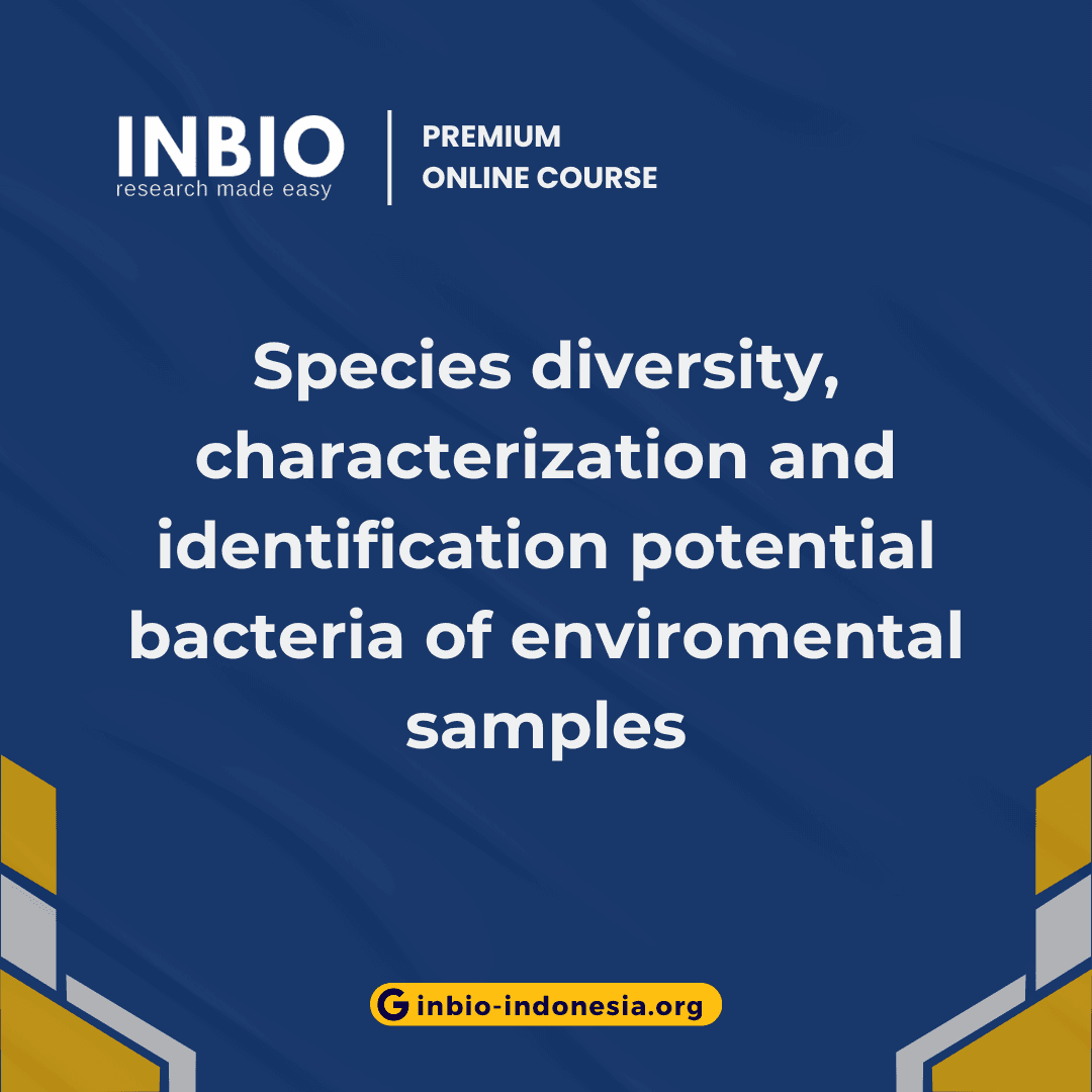 Species diversity, characterization and identification potential bacteria of enviromental samples